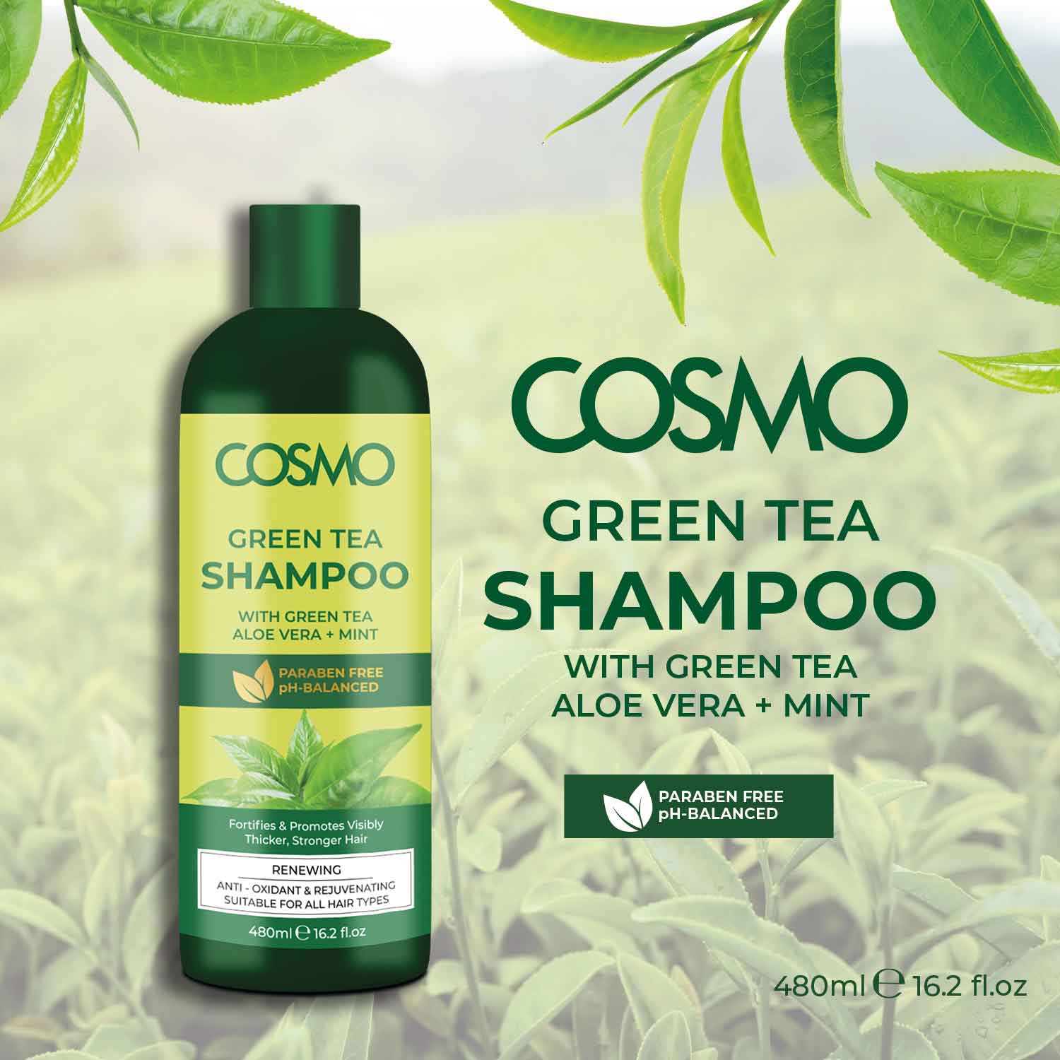 Green Tea Shampoo